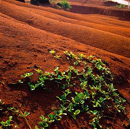 今年的科隆游戏展 公布的新作将非常少
